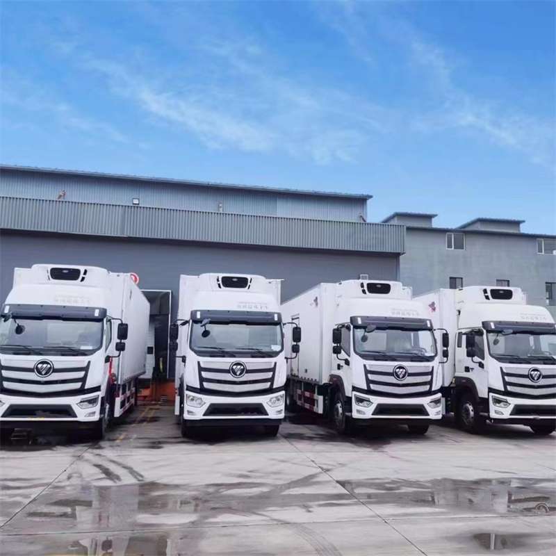 沅陵县新龙县进仓物流：多元专线直达运输探秘